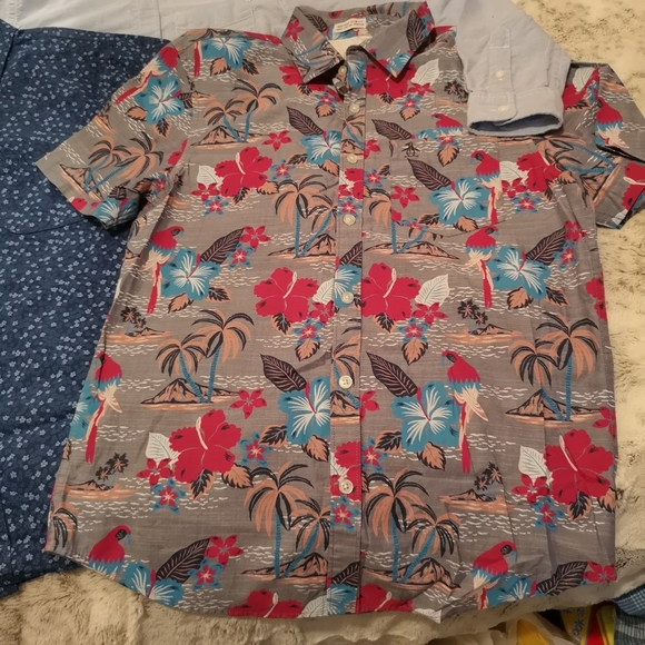 3 Boys Button Up Dress Shirts - Picture 3 of 17